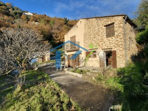 Maison individuelle avec vue dégagée et beau terrain arboré