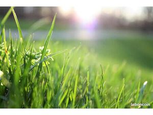 Terrain 449 m² Le Bignon