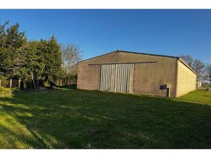 Entrepôt/Hangar d'environ 400 m2 sur 1000 m2 de terrain