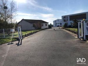 Vente Local d'activités 3 377 m²