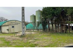 Idéal élevage de volailles ou chevaux : vend maisonnette et 3 grands tunnels d'élevage plu