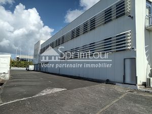ENTREPÔT et BUREAUX - 2 065 m2 - JARRY - 97122 BAIE-MAHAUL