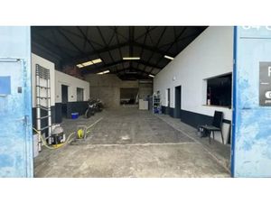 PERPIGNAN. ZI SAINT CHARLES - Local d'activité 225 M²