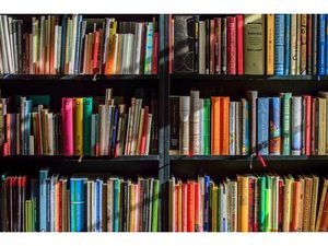 Local Commercial 3 pièces - 30 m²