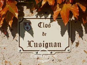 Propriete à vendre 12 pièces TROO (41) - terrain de 11 473 m² -