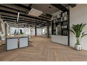 Commerciële eigendom te koop in Willebroek