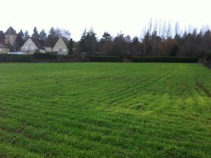 A 10 mn du centre ville de Lalinde beau terrain plat de 5 000 m²