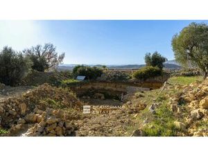Achat Terrain 2 577m² OPIO 06650