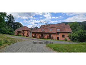 Achat Immeuble 1 000m² ROUGEMONT LE CHATEAU 90110