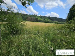 Achat Terrain PONTARLIER 25300