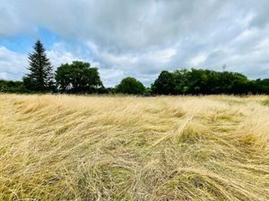 Vente terrain 1000 m² Saint-Pierre-de-Chignac (24330)