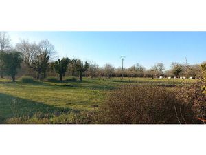 Vente terrain 1000 m² Montpon-Ménestérol (24700)