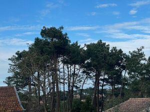 Terrain de 745 m2 en vente - Lacanau  Nouvelle-Aquitaine