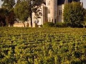 Terrain de 2000 m2 - Pessac  France