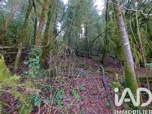 Vente Terrain 6 262 m²