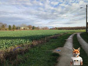 Terrain à vendre