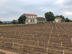 Location maison 6 pièces 150 m² à Portets (33640)