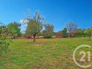 Achat : Terrain (81500)