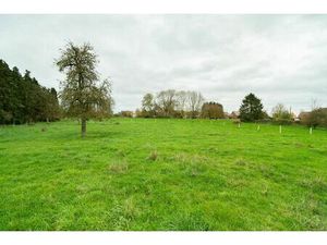 Terrain à vendre à Rue Marcel Royer +- 14 Hannut (VBD65526)
