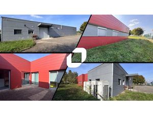 Vente Bureau Erstein 67150