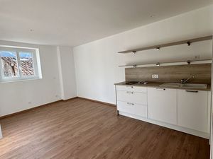 Location appartement 1 pièces 25m2 Arles-sur-Tech 66150 - 400 € - Surface Privée