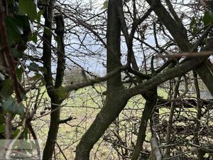 Vente terrain 500 m² Le Quesnoy (59530)