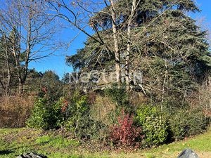 À vendre : Appartement 1 pièce à Écully