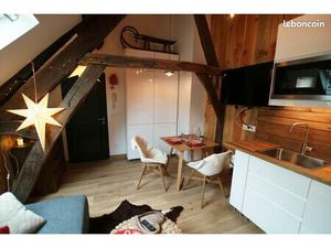 Joli studio meublé style chalet