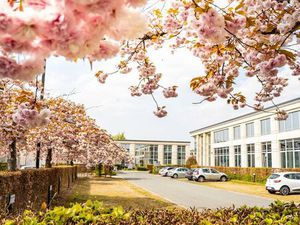 Bien professionnel à louer à Zaventem € 5.522 (LISCW) - PANORAMA B2B Brussel kantoren | Zi