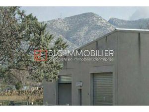 Local d'activités à louer