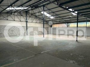 Local d'activités à louer