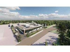 SAFTI SAWAYA Cynthia conseiller indépendant