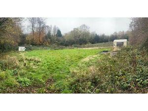 SAFTI BOEGLEN Peggy conseiller indépendant