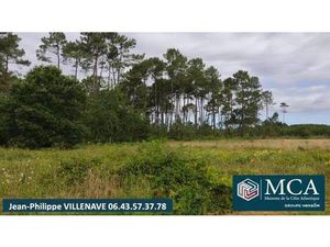 Terrain constructible viabilisé à vendre