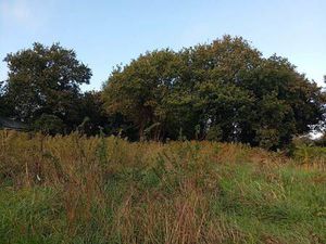 Terrain constructible viabilisé à vendre