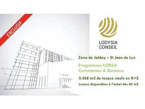 LODYSIA CONSEIL