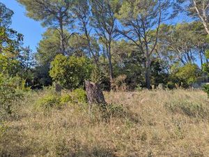 Terrain constructible viabilisé à vendre