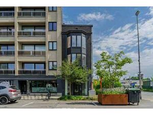 Maison de commerce rénovée avec jardin urbain au cœur de Ter