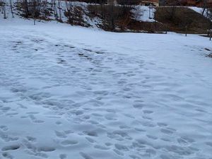 Terrain les Bottieres - domaine des Sybelles