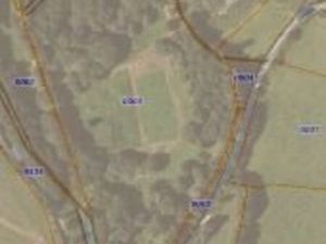 Terrain pour chevaux