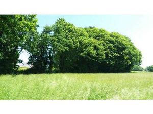 Vente Terrain à Lamballe (22400) : à vendre / Lamballe