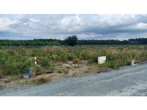 Vente terrain 767 m² à Marcheprime (33380)  210 000 €