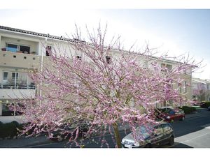 BEGLES - Secteur Mairie - Bibliothèque - TRAM