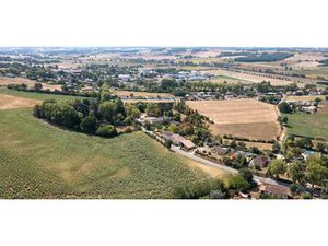 Dans les Champs Lot numéro 5