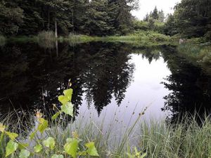 70310 A VENDRE ETANG FAUCOGNEY-LA-MER