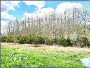 Beau terrain boisé de 5675 m².