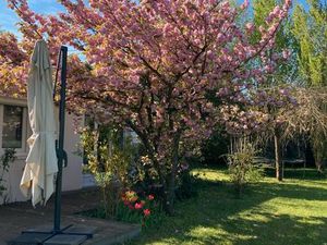 Maison t5 bois dieu allee des platanes 69380 lissieu