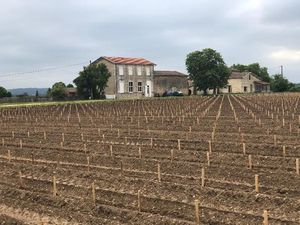 Location maison 5 pièces à Portets (33640)  1 250 €