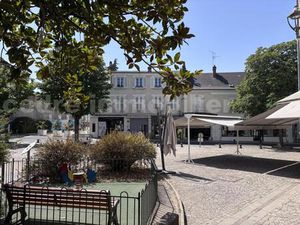 OLIVET CENTRE APPARTEMENT ANCIEN