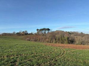 Terrain constructible viabilisé à vendre